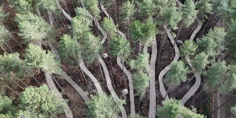 Sherwood Pines