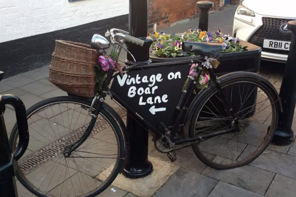 Vintage Vixen outside