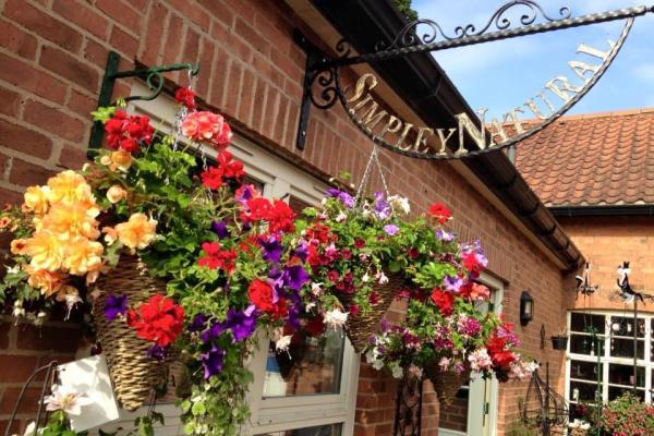 The outside of a shop with hanging sign and flower pots.