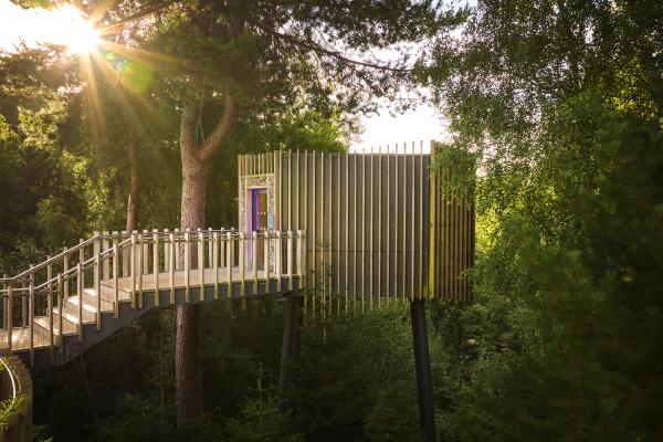 Room suspended within forest