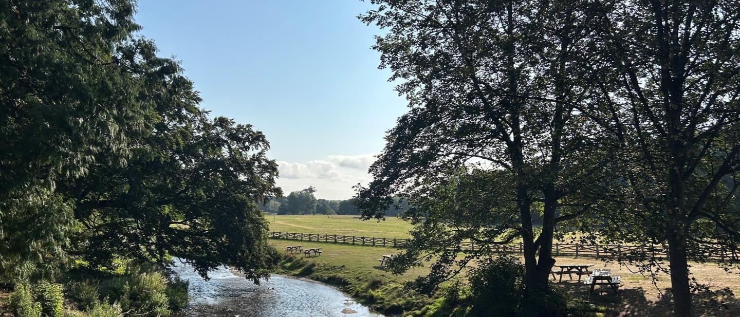 Thoresby Park