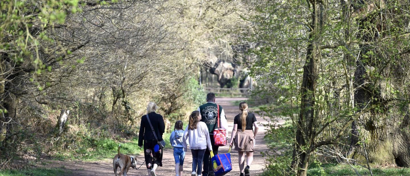 Family walking through Sherwood Forest